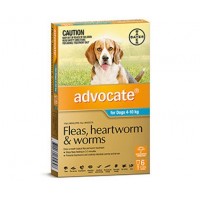 Advocate Medium Dog Aqua