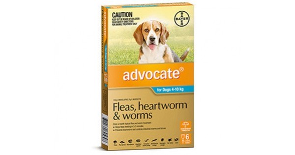 advocate puppy flea worm treatment