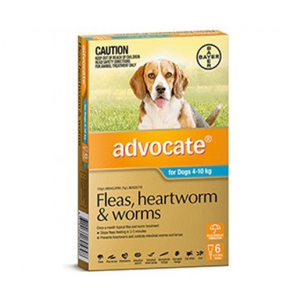advocate puppy flea worm treatment