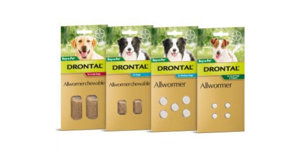 drontal small dog wormer