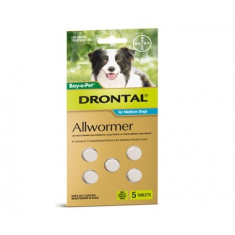 allwormer for puppies