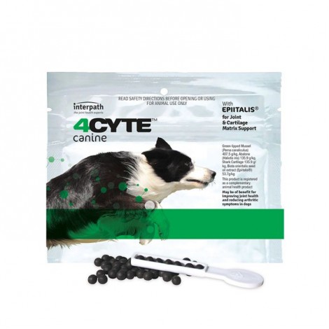 4CYTE For Dogs