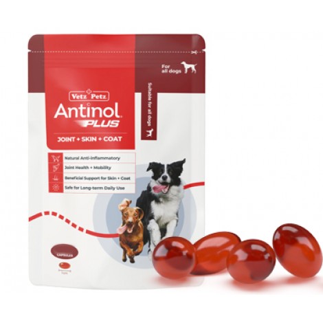 Antinol Plus for Dogs 60's