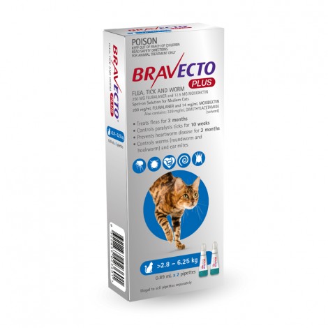 Bravecto Plus Medium Cats Blue