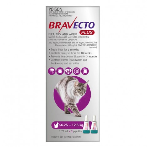 Bravecto Plus Large Cats Purple